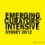 Emerging Curators’ Intensive