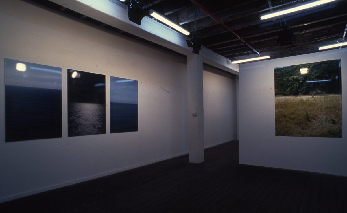 Felicia Kan: Different Fields Different Skies